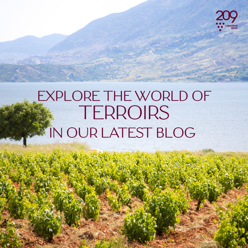 Exploring Lebanese Wines' Rich Tapestry of Terroir Varieties!