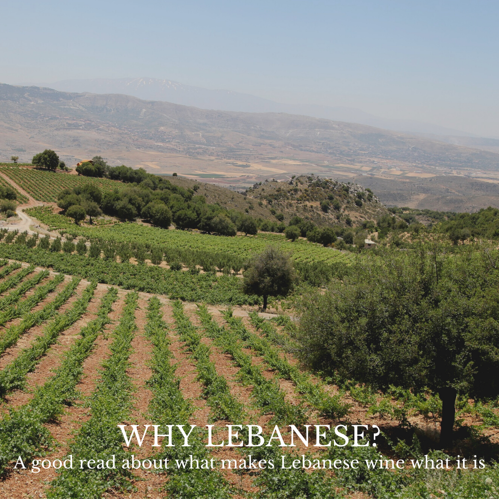 What makes Lebanese wine what it is?